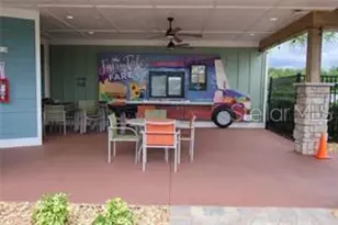 10914 History Ave, Orlando, FL 32832 - Photo 40