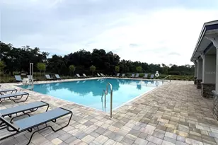 256 Spindlewood Blvd, Dundee, FL 33838 - Photo 34