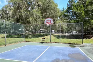 14128 NE 253rd Ave, Salt Springs, FL 32134 - Photo 4