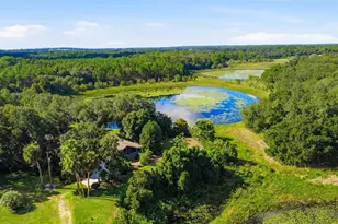 41520 Charm Lk Dr, Umatilla, FL 32784 - Photo 48