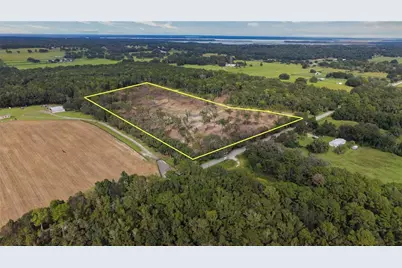 Irvine Acres #1 and 2 (20Ac) W Hwy 318, Reddick, FL 32686 - Photo 2