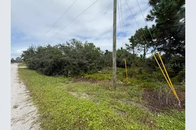 516 Morningside Drive, Lake Placid, FL 33852 - Photo 2