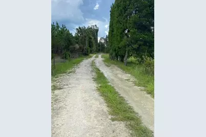 129 SE 122nd Avenue, Old Town, FL 32680 - Photo 10