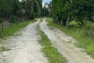 129 SE 122nd Avenue\, Old Town, FL 32680 - Photo 10