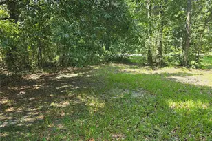 11693 NW County Rd 229, Lake Butler, FL 32054 - Photo 8