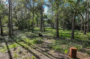 1205 Cupid Ave, Christmas, FL 32709 - Photo 68