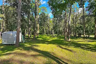 1205 Cupid Ave, Christmas, FL 32709 - Photo 54