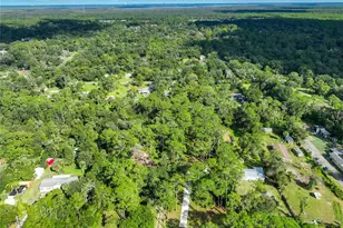 1205 Cupid Ave, Christmas, FL 32709 - Photo 4
