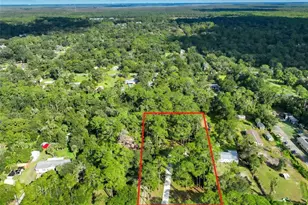 1205 Cupid Ave, Christmas, FL 32709 - Photo 82