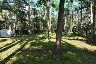 1205 Cupid Ave, Christmas, FL 32709 - Photo 62