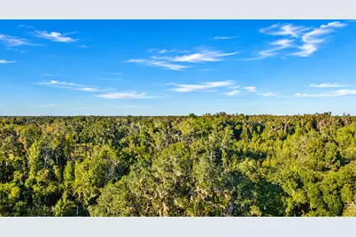 455 NE 112th Avenue, Old Town, FL 32680 - Photo 46