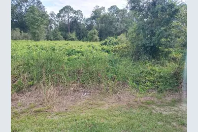 2900 W Shula Road, Avon Park, FL 33825 - Photo 10