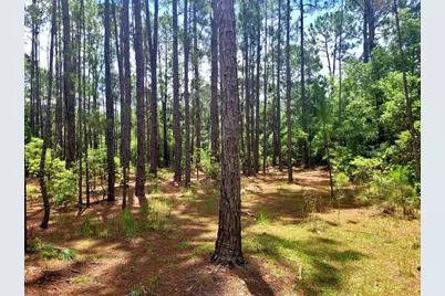 Tropical Drive, Eustis, FL 32726 - Photo 12