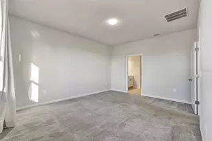 3772 Blue Mountain Wy, Apopka, FL 32712 - Photo 30