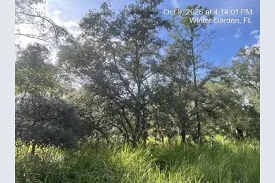 9901 Avalon Woods Drive, Winter Garden, FL 34787 - Photo 2
