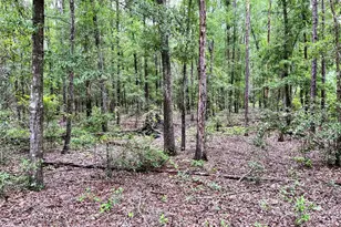 1874 SW Nautilus Rd, Lake City, FL 32024 - Photo 24
