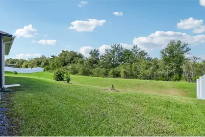 121 Harvest Gate Boulevard, Groveland, FL 34736 - Photo 28