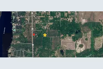 000 Cr 309, Satsuma, FL 32189 - Photo 4