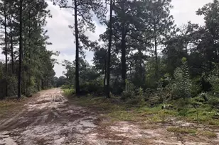 Lot 228 Park Forest Blvd, Mount Dora, FL 32757 - Photo 1