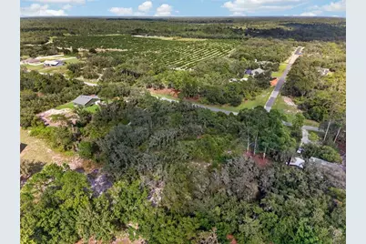 00 Deer Road, Frostproof, FL 33843 - Photo 6