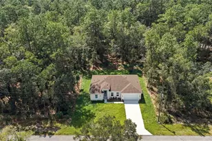 9266 N Rhine Way, Citrus Springs, FL 34434 - Photo 32