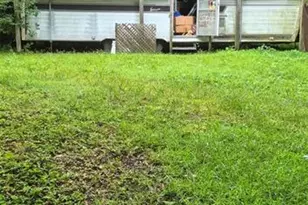 25240 Antler St, Christmas, FL 32709 - Photo 10