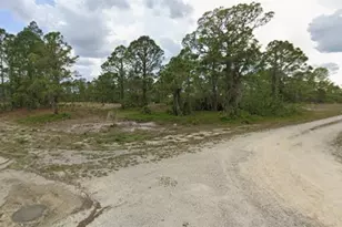 279 Summertime Ave, Lake Placid, FL 33852 - Photo 1