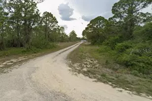 252 Summertime Ave, Lake Placid, FL 33852 - Photo 1
