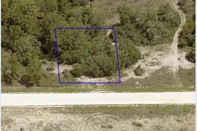 406 Jack Weisser Boulevard, Lake Placid, FL 33852 - Photo 2