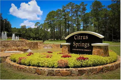 8292 N Janeaux Drive, Citrus Springs, FL 34434 - Photo 4