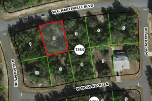 1424 W G Martinelli Blvd, Citrus Springs, FL 34434 - Photo 1