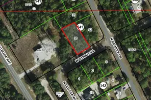 861 W Kimble Pl, Citrus Springs, FL 34434 - Photo 1