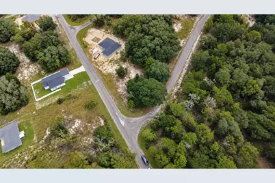 0 Guava Lane, Ocklawaha, FL 32179 - Photo 2
