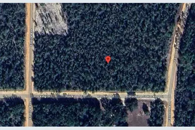 Hocking Street, Alford, FL 32420 - Photo 14