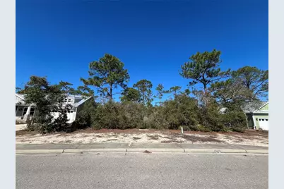 394 Royal Tern Way, Carrabelle, FL 32322 - Photo 1