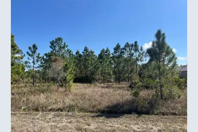 1247 Brunell Avenue, Fort Myers, FL 33913 - Photo 2