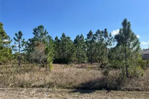 1247 Brunell Ave, Fort Myers, FL 33913 - Photo 2