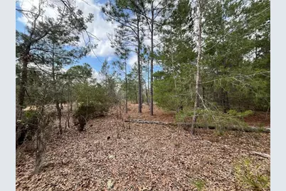 204 Glasgow Street, Interlachen, FL 32148 - Photo 6