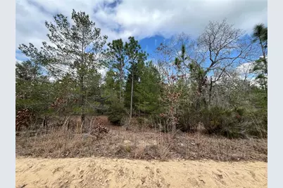 204 Glasgow Street, Interlachen, FL 32148 - Photo 16