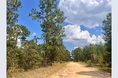 204 Glasgow Street, Interlachen, FL 32148 - Photo 2