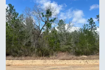 204 Glasgow Street, Interlachen, FL 32148 - Photo 1