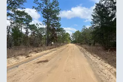 204 Glasgow Street, Interlachen, FL 32148 - Photo 2