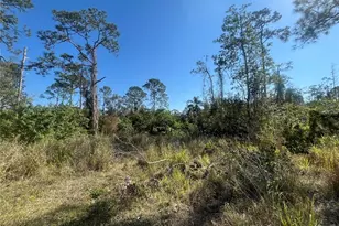 238 Swift Ave, Sebring, FL 33870 - Photo 1