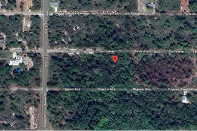 238 Swift Avenue, Sebring, FL 33870 - Photo 4
