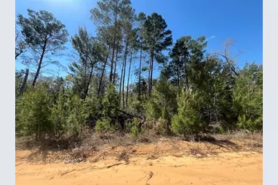 Shappell Ave, Interlachen, FL 32148 - Photo 4