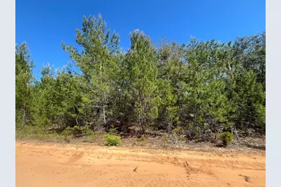 Shappell Ave, Interlachen, FL 32148 - Photo 6