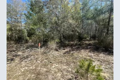 Kitty, Interlachen, FL 32148 - Photo 1