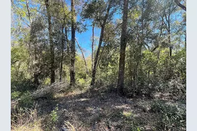 Walker, Interlachen, FL 32148 - Photo 2