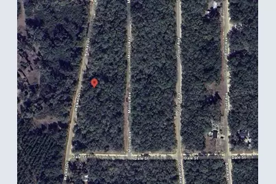 Walker, Interlachen, FL 32148 - Photo 10