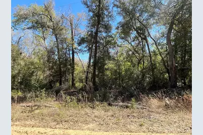 Walker, Interlachen, FL 32148 - Photo 1